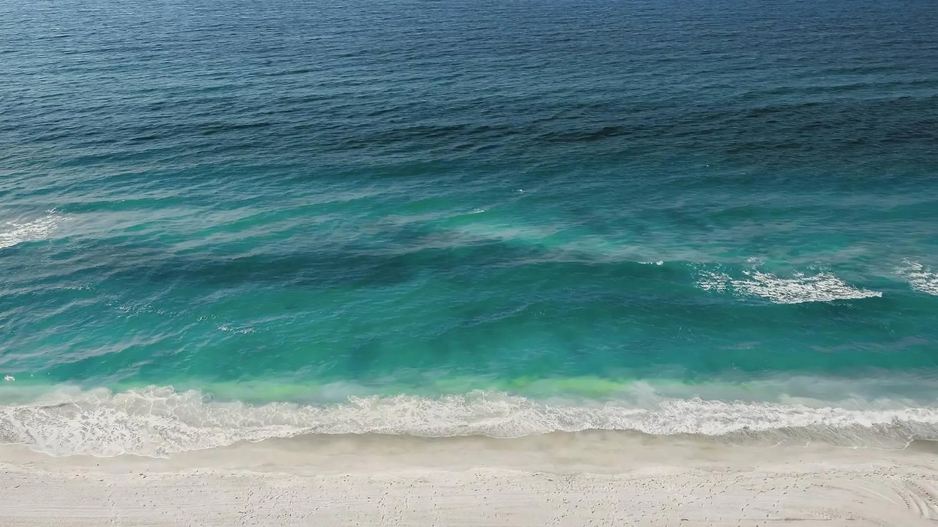 Private 2 Miles From Siesta Key Sarasota