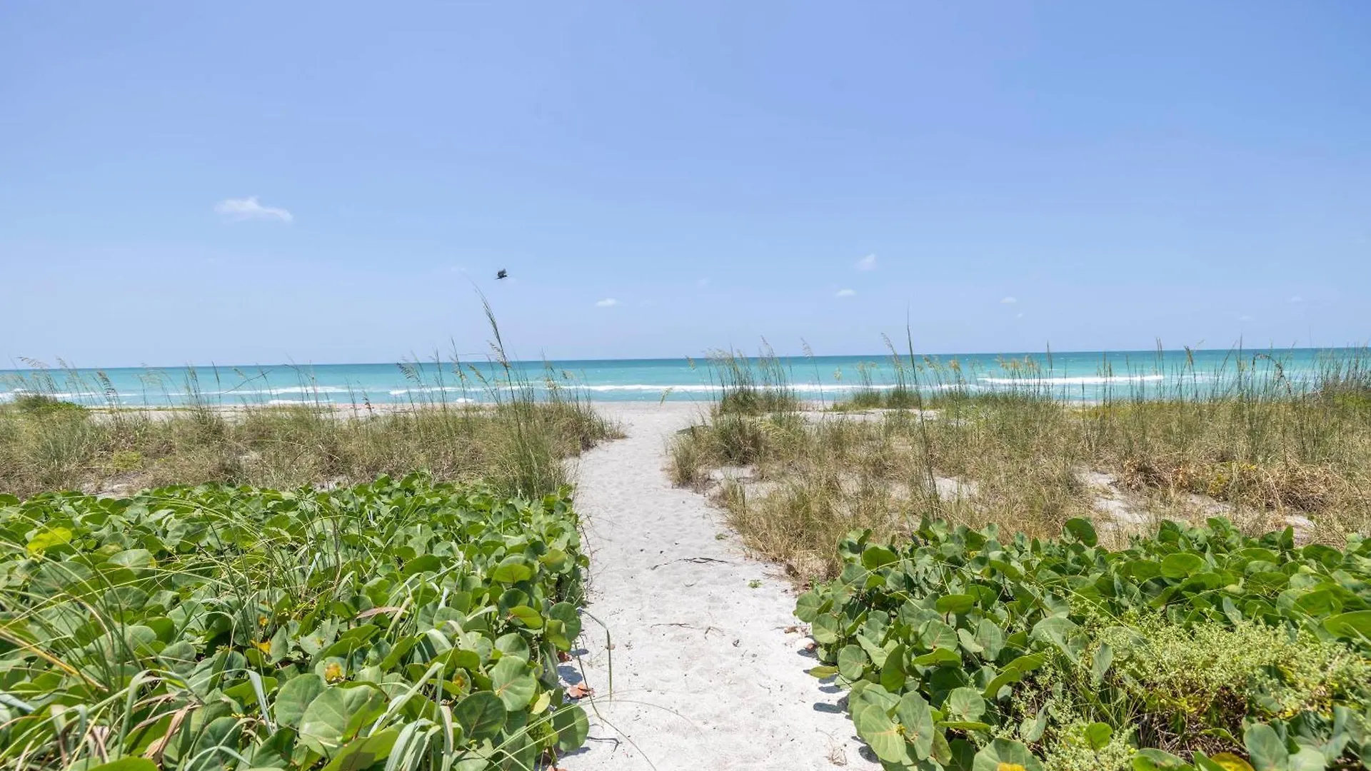 5br - 8230 Sanderling Rd