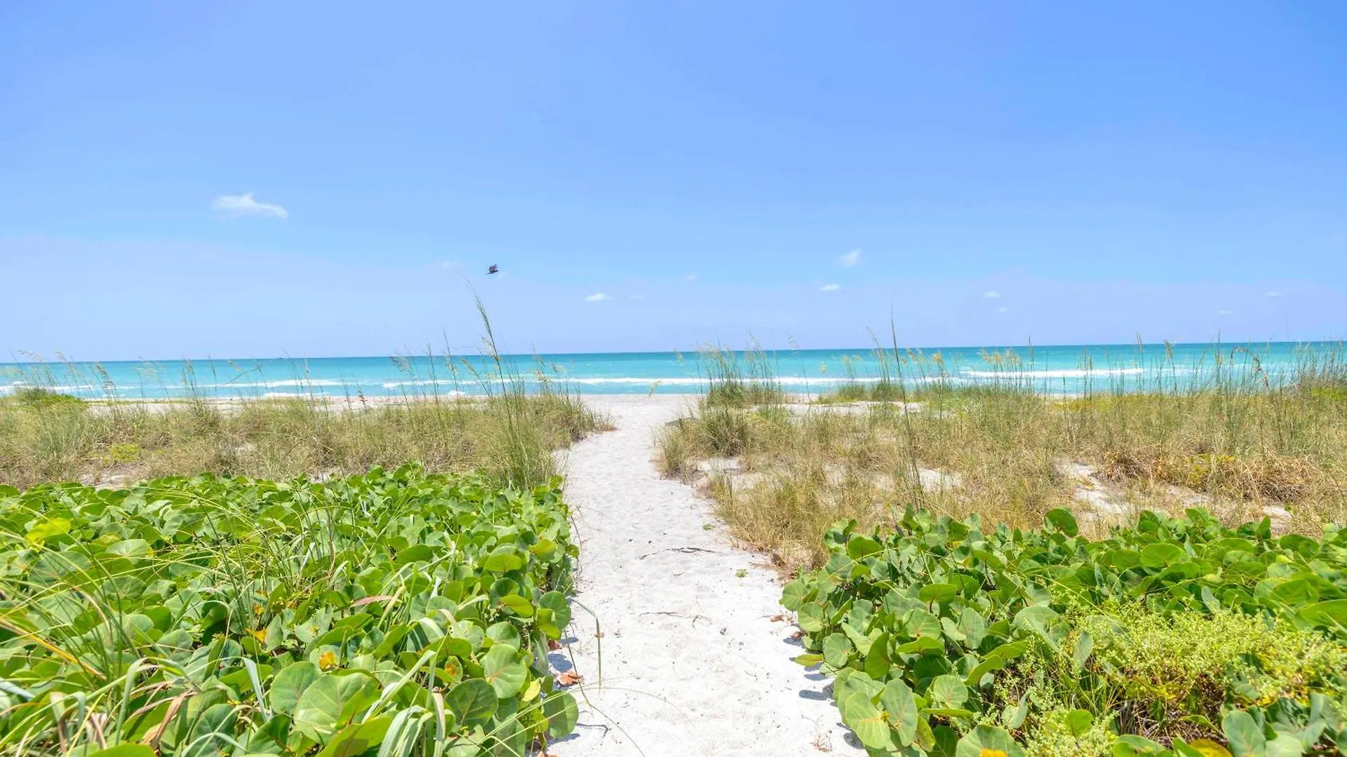 5br - 8230 Sanderling Rd * Sarasota