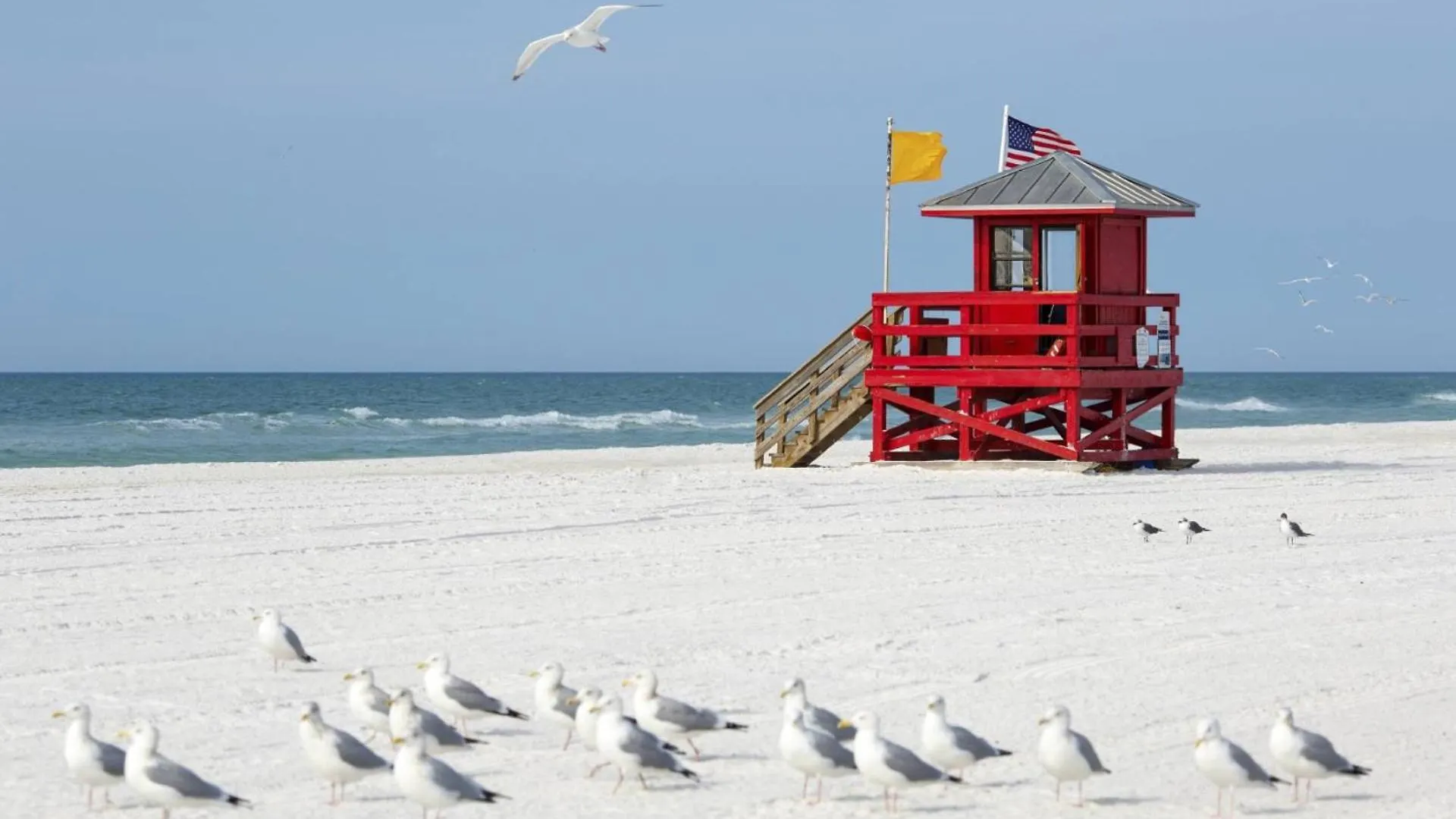 Kingston Arms Modern 1br On Lido Key Holiday home Sarasota