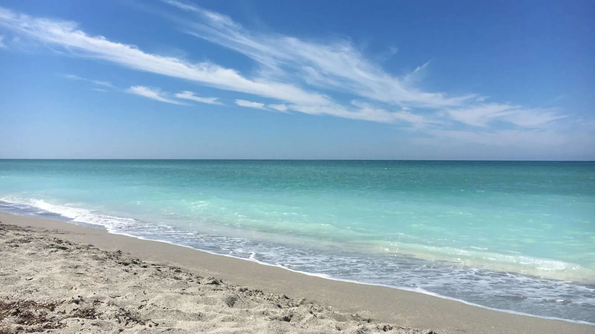 Kingston Arms Modern 1br On Lido Key Holiday home