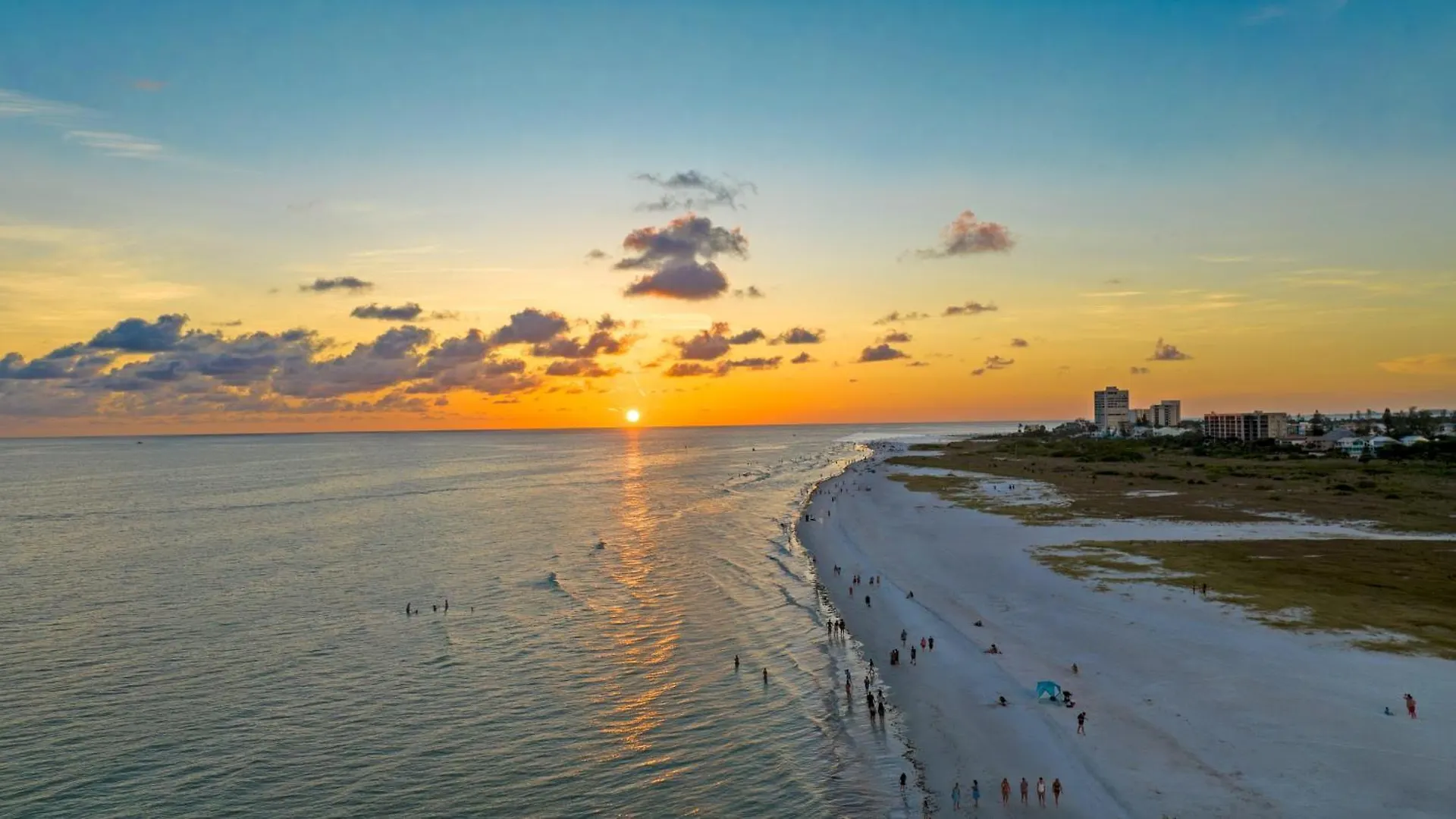Luna Nueva - 2048 Sarasota