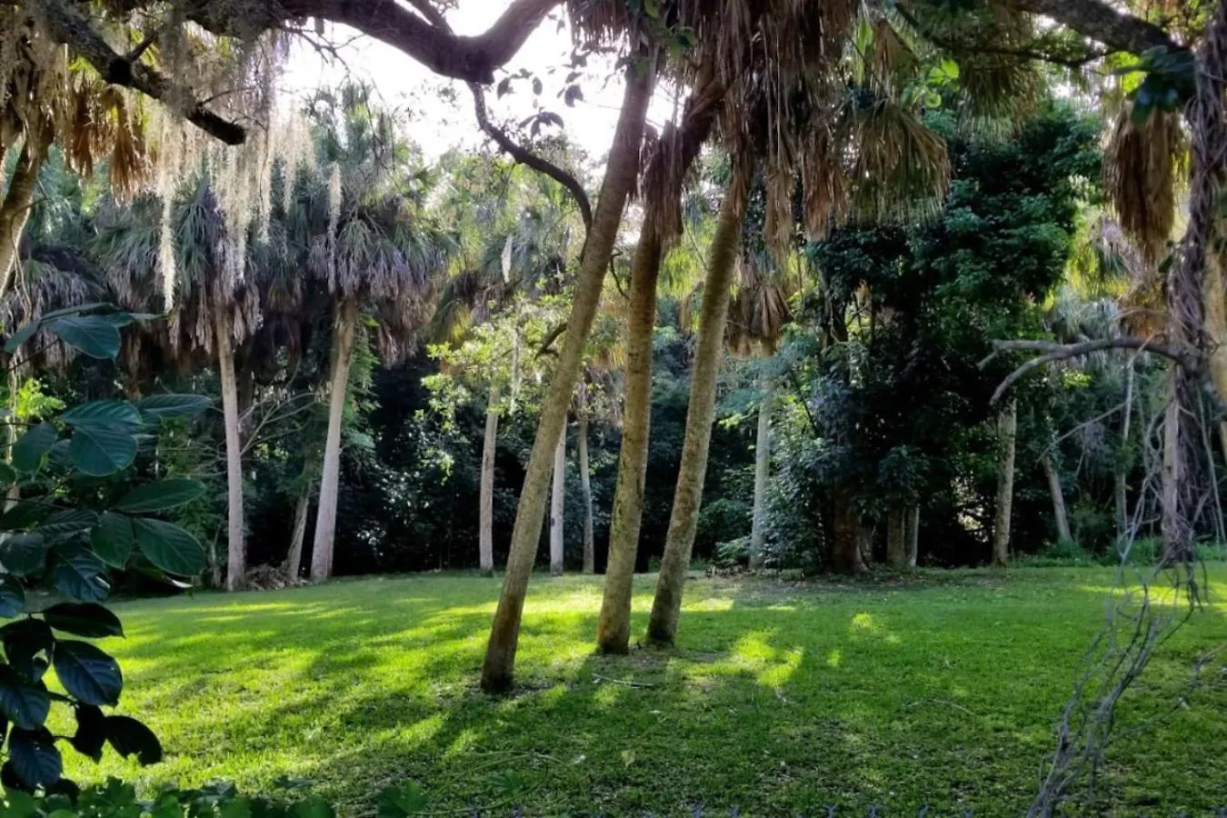 Riverside Oasis Apartment Sarasota