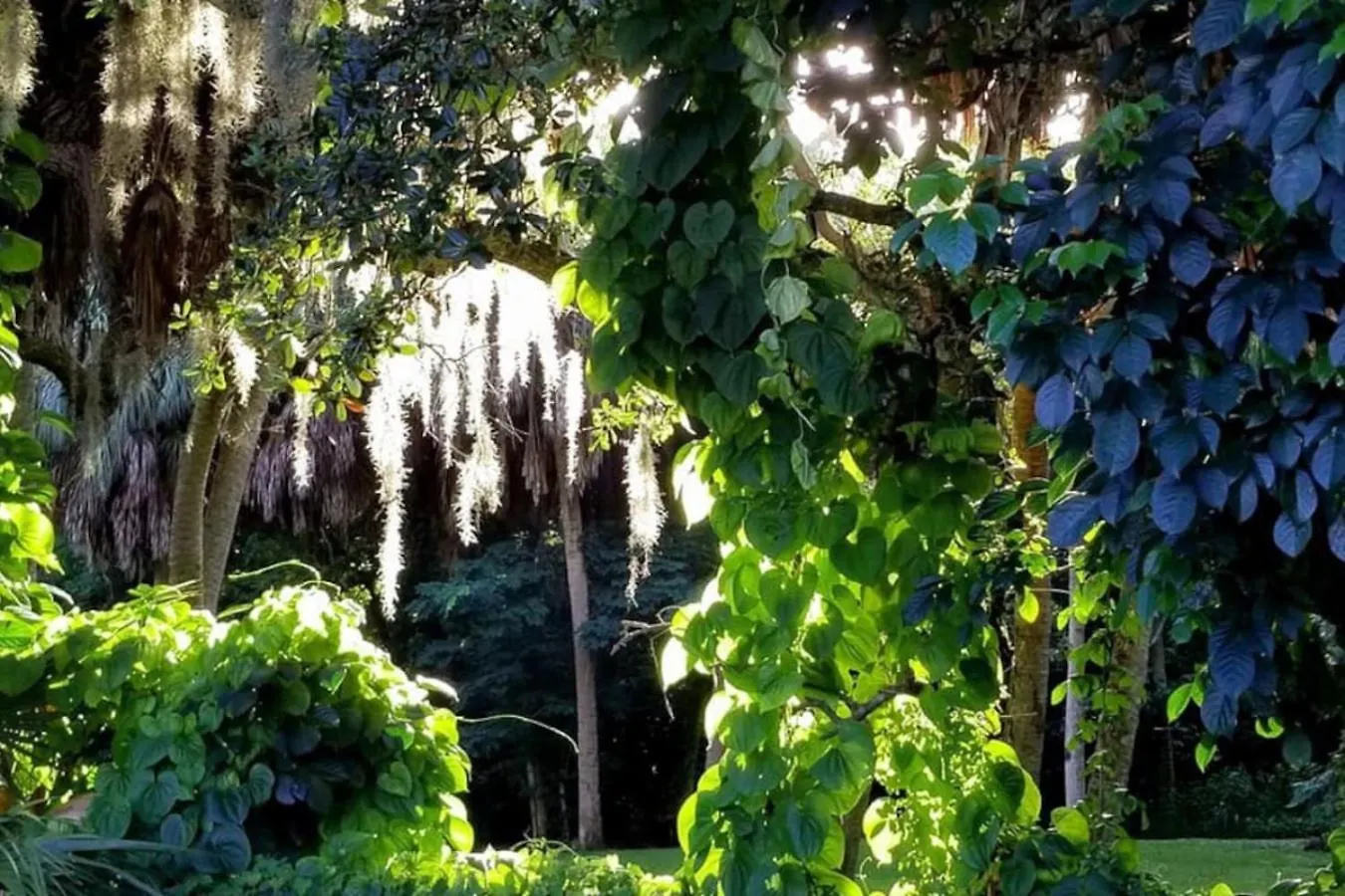 Riverside Oasis