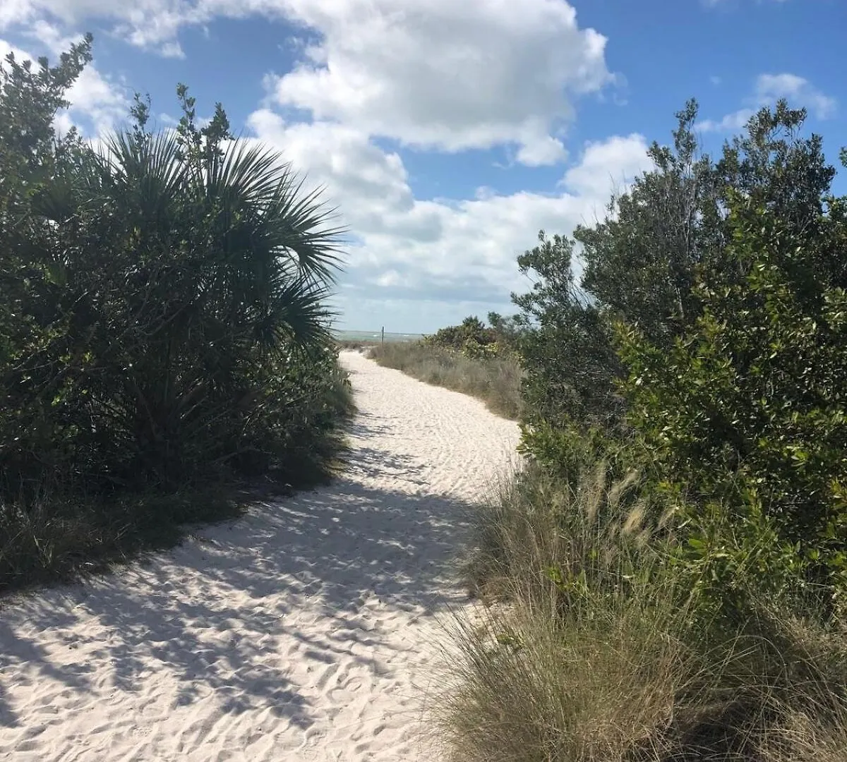 Apartment Walk To Siesta Key