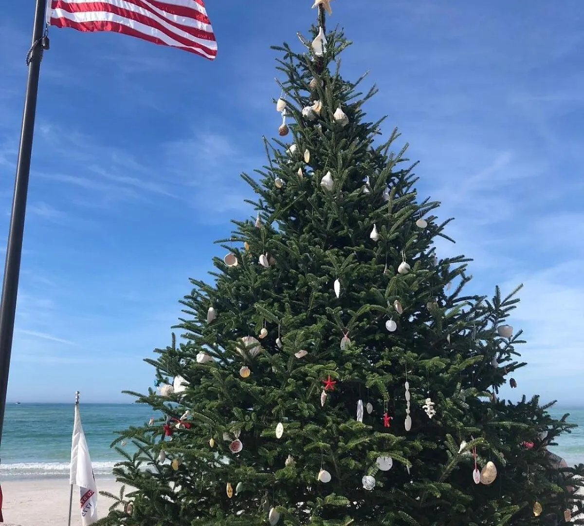 Walk To Siesta Key