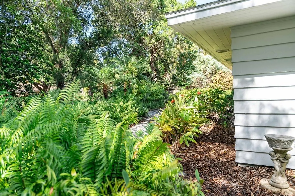 Siesta Key Under The Banyan Tree 3 Bed 3 Bath * Sarasota
