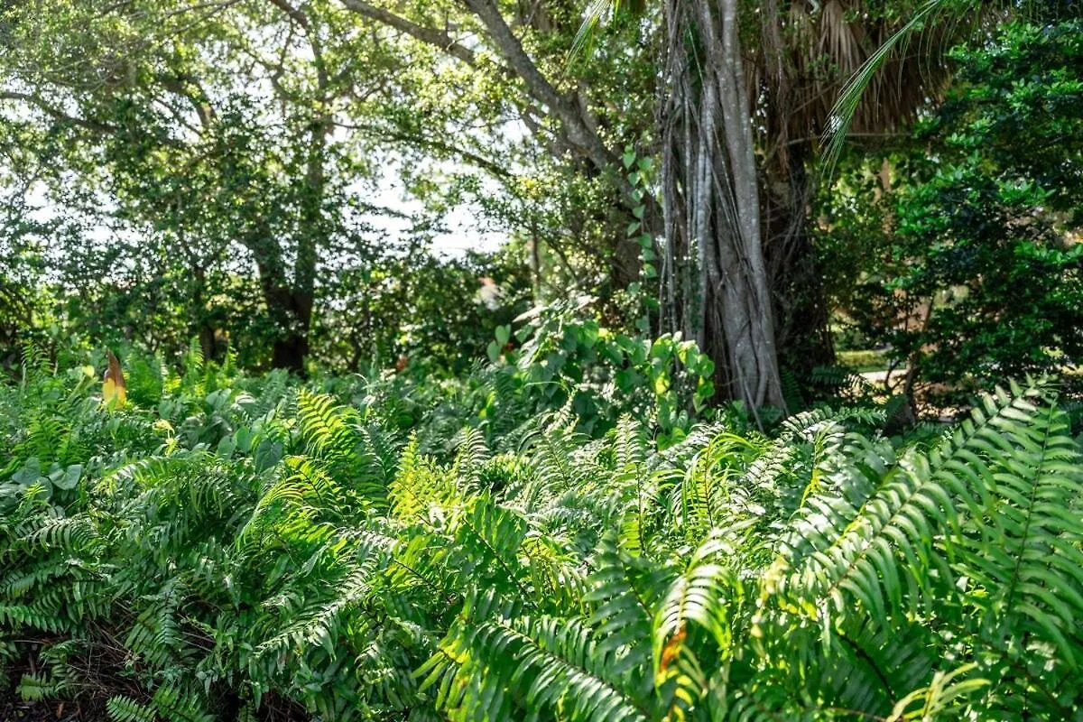 Siesta Key Under The Banyan Tree 3 Bed 3 Bath Holiday home Sarasota