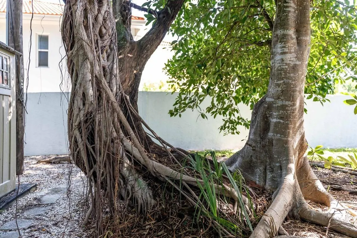 Siesta Key Under The Banyan Tree 3 Bed 3 Bath Holiday home
