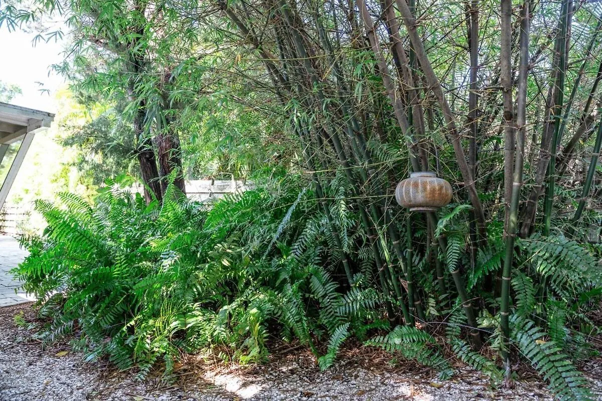 Siesta Key Under The Banyan Tree 3 Bed 3 Bath Holiday home Sarasota