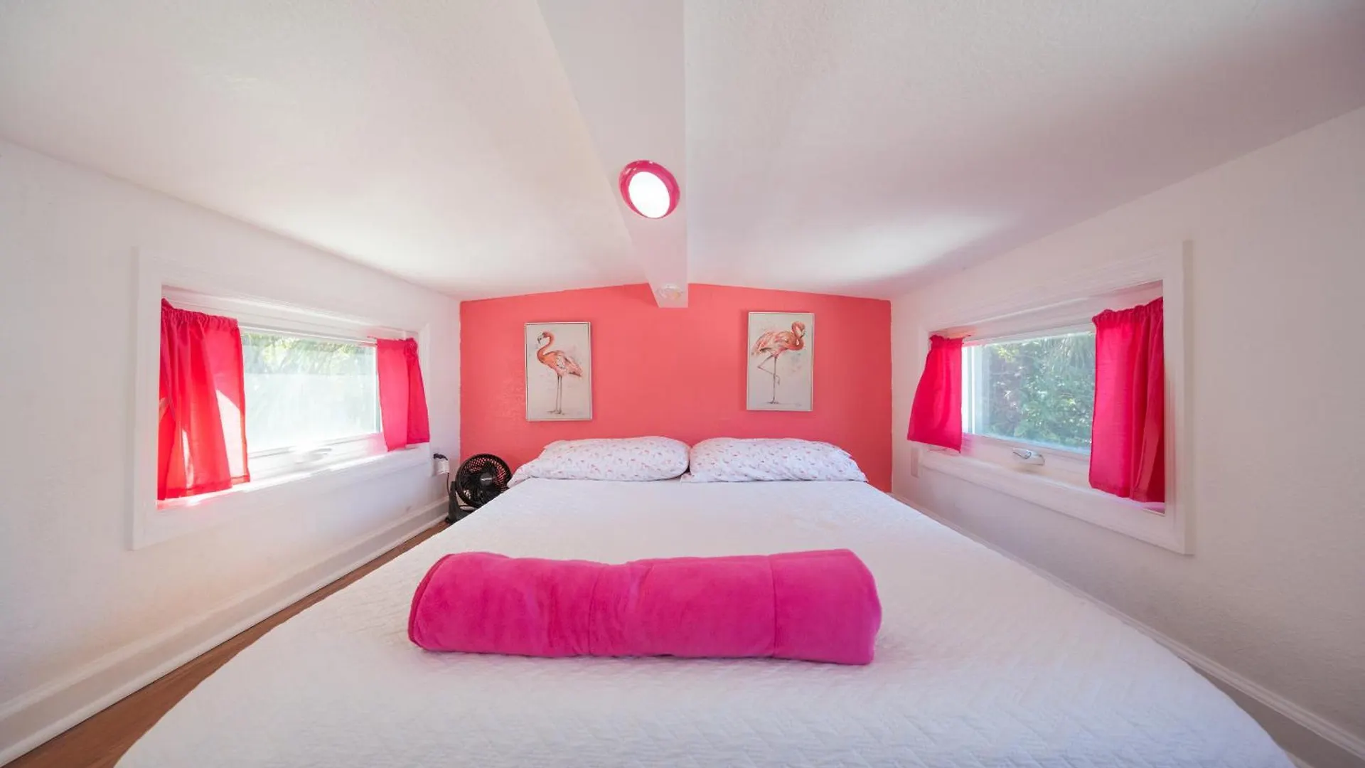 Tiny House - Flamingo Holiday home