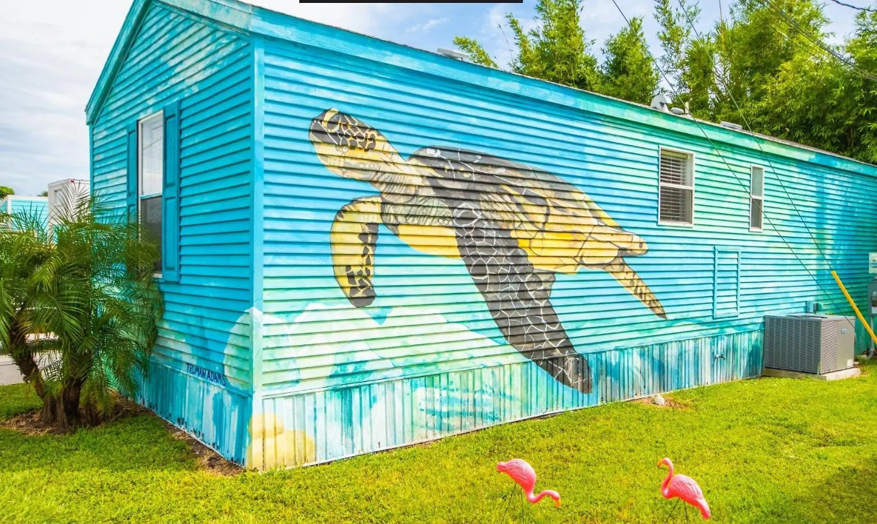 Tiny House - Sea Turtle Holiday home