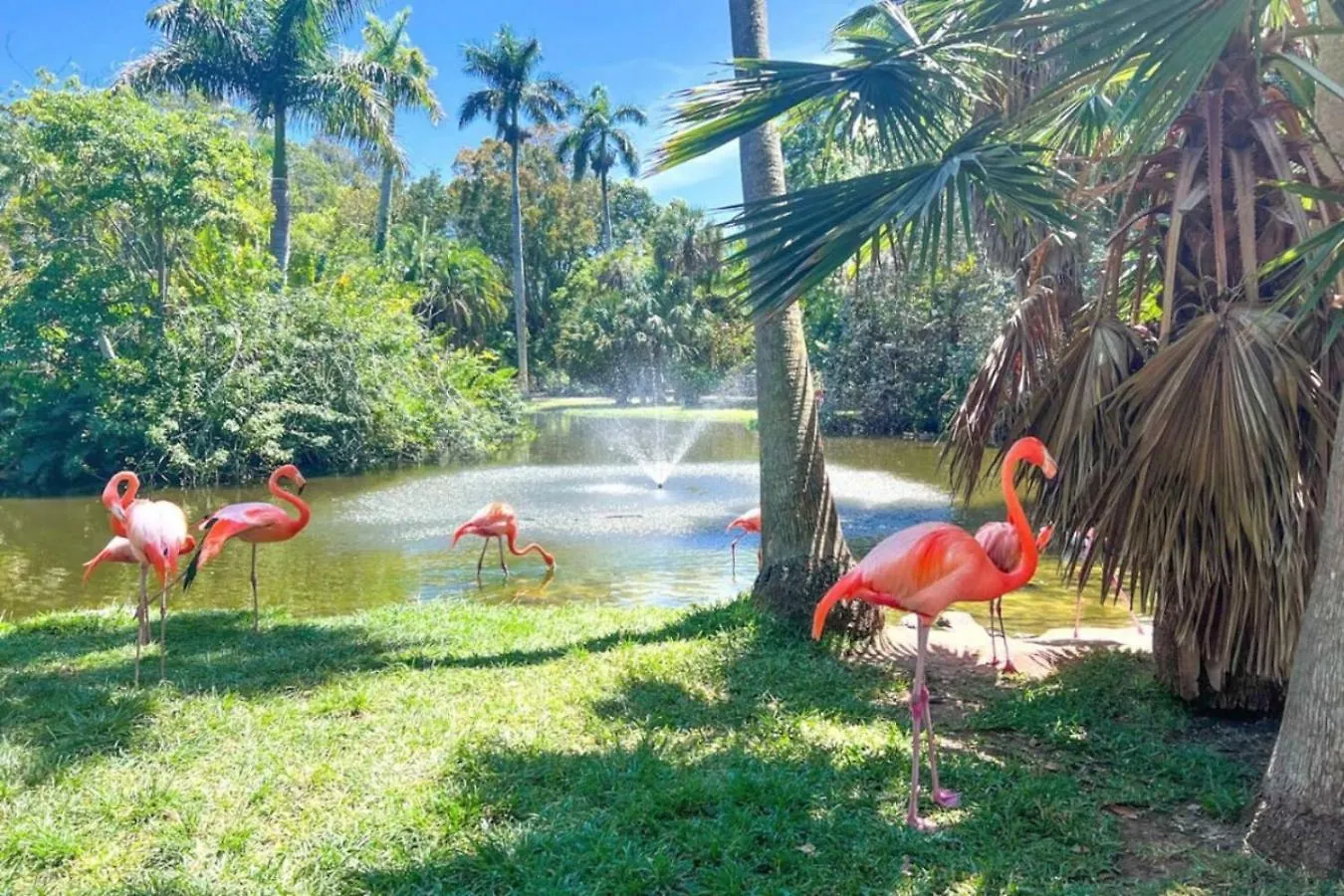 Serene Escape Cozy Close To Beaches Sarasota