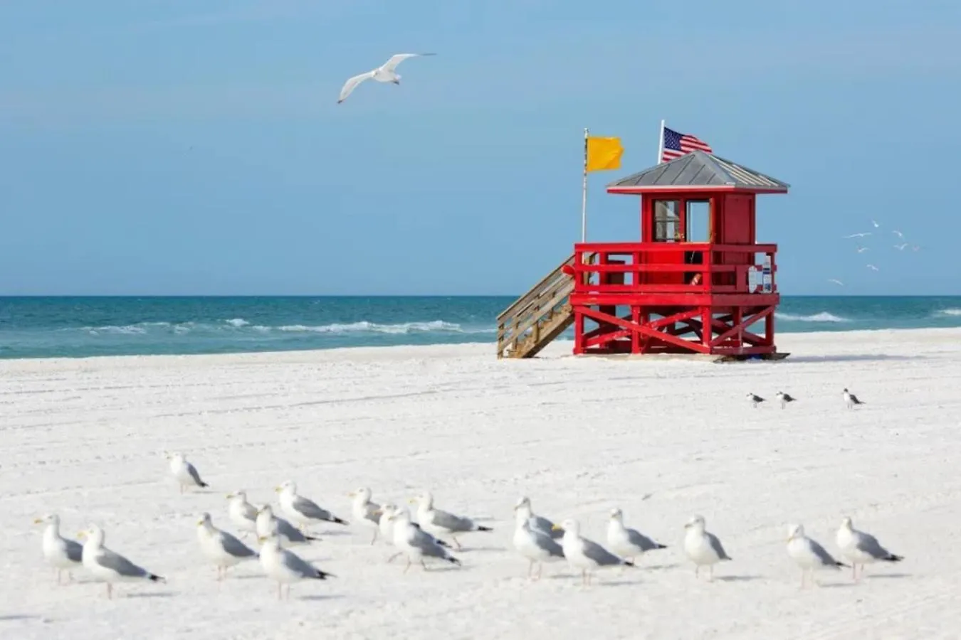 Cozy Retreat Pvt Rm Close To Siesta Keys J3a Shared Sarasota