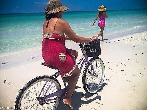 Kaia S Sarasea At Siesta Key At A Glance Sarasota