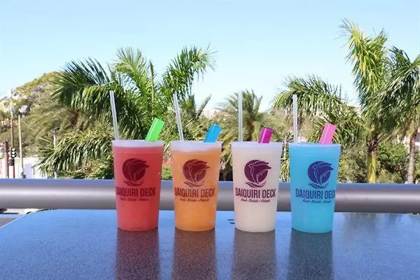 Kaia S Sarasea At Siesta Key At A Glance *