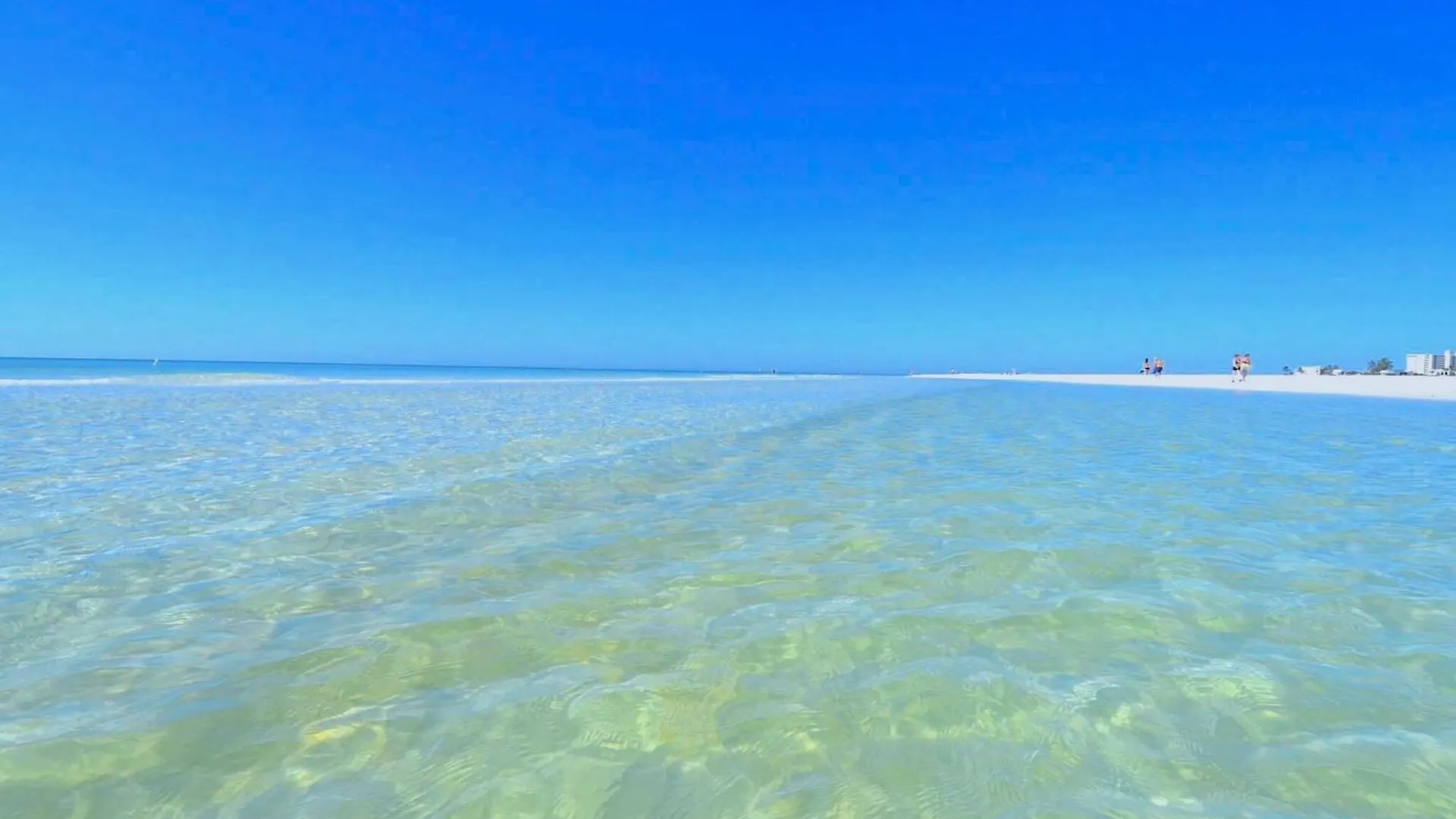 Kaia S Sarasea At Siesta Key At A Glance *