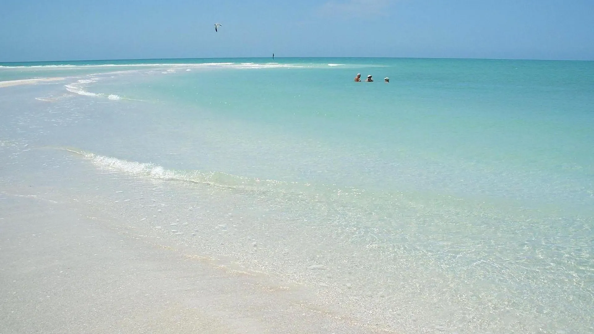 Kaia S Sarasea At Siesta Key At A Glance Holiday home