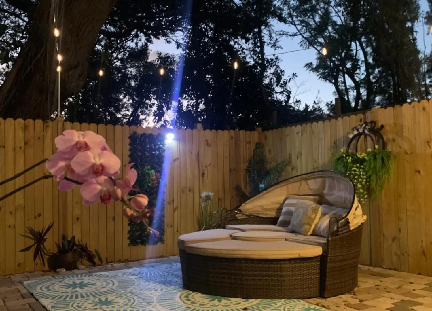 Mini Studio: 10 Min/siesta Key/private Entrance/ Apartment