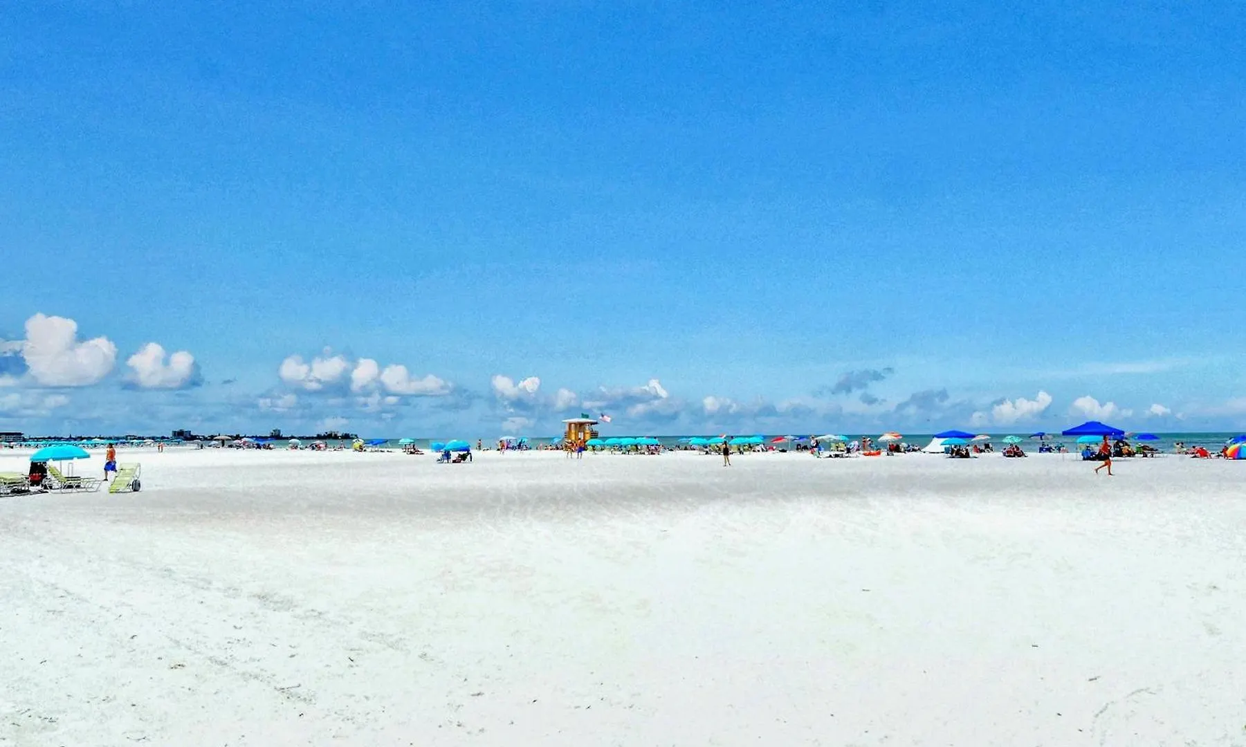 Luxe Oasis - 517 Holiday home Sarasota