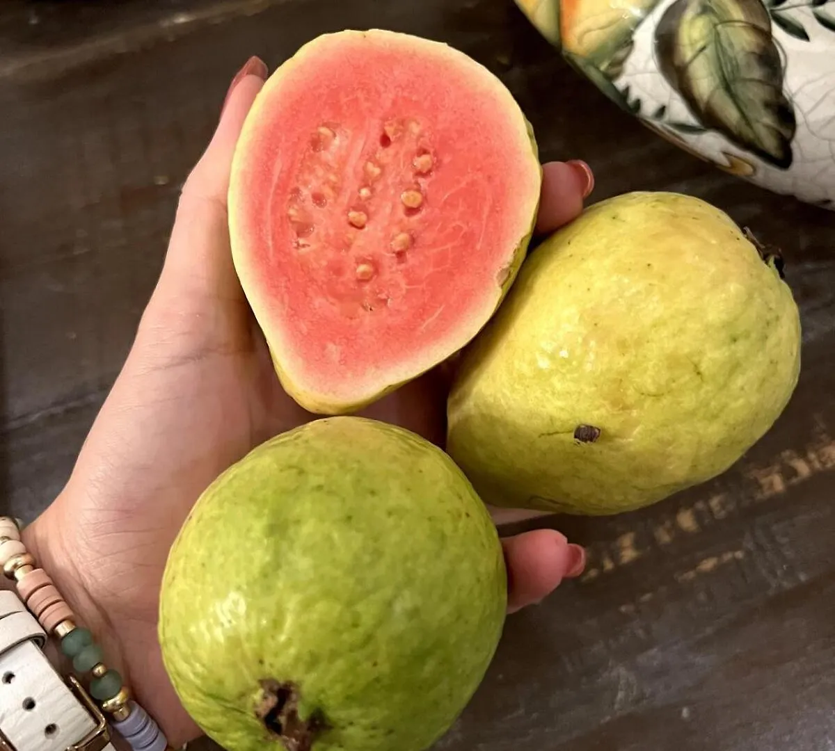 Fruit And Botanical Garden Estate 2 Miles To Downtown Ev Vr24-00151 Holiday home Sarasota