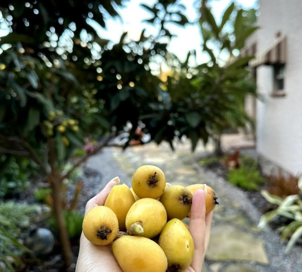 Fruit And Botanical Garden Estate 2 Miles To Downtown Ev Vr24-00151 * Sarasota