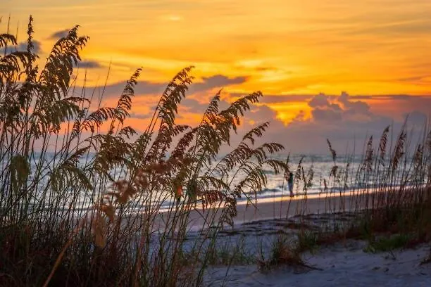 Ferienhaus Ben's - 8min To Siesta Key - Gigabit Wifi