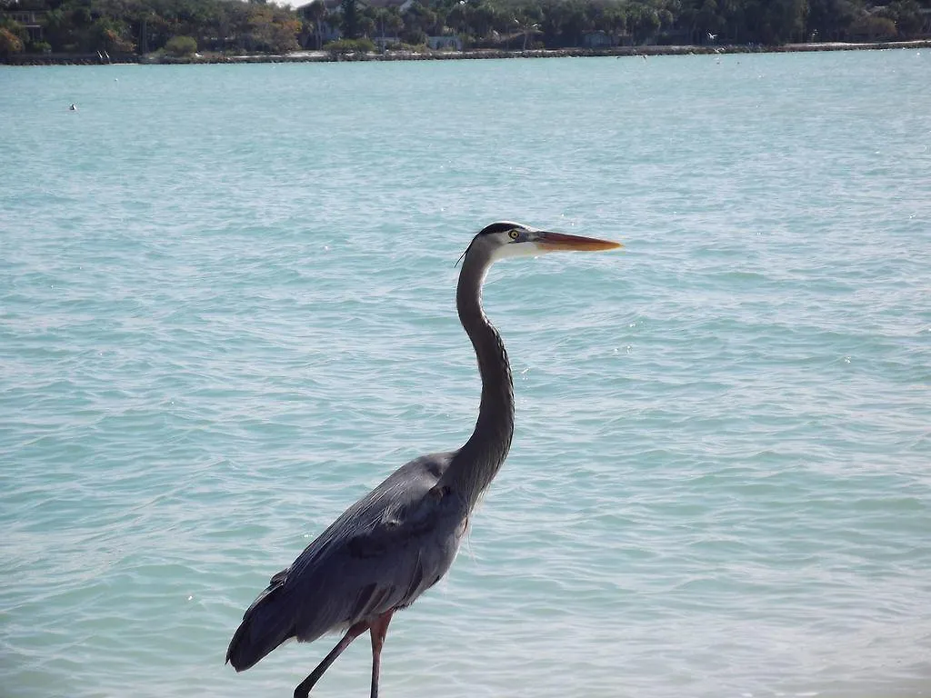 2br/2ba Sienna Park Apartment Sarasota