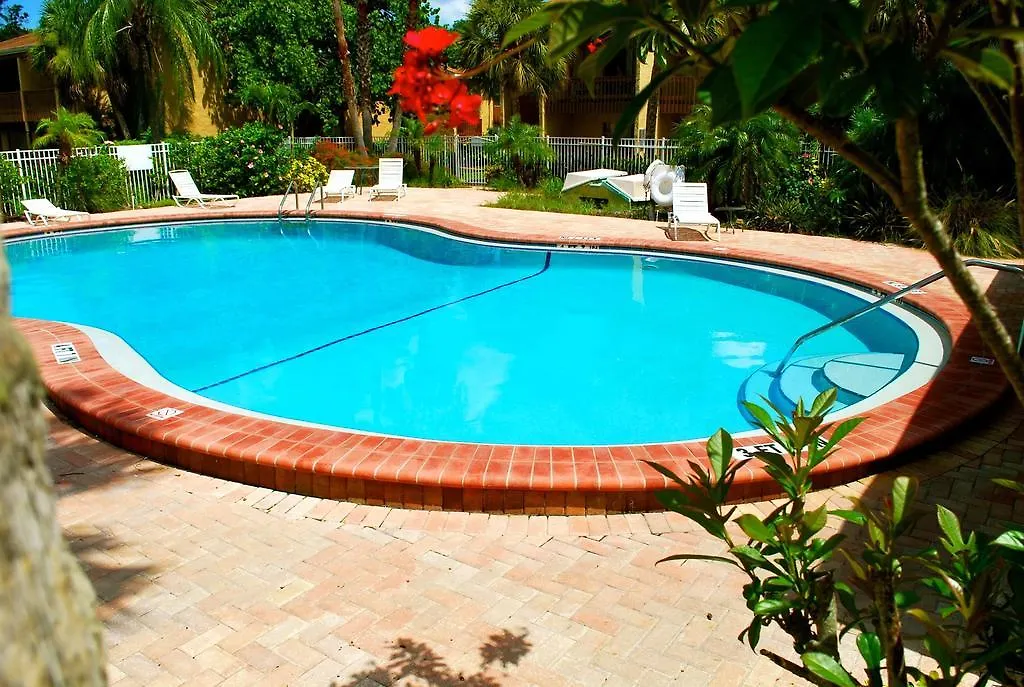 1+1 Large Sarasota