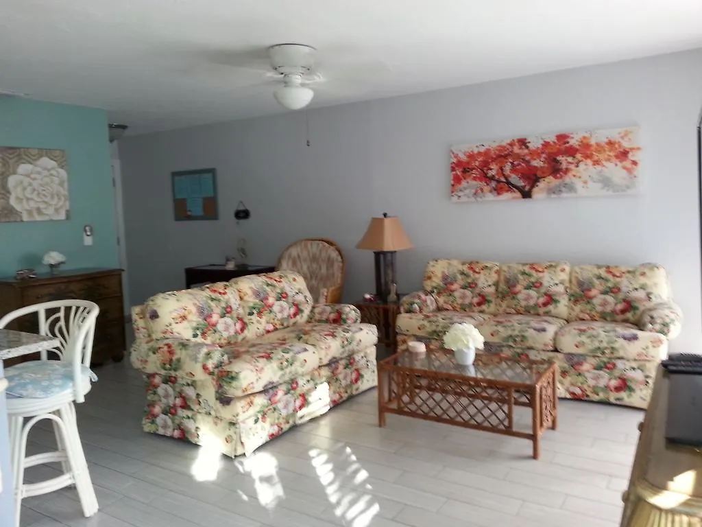 1+1 Large Sarasota