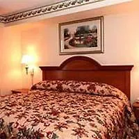 Hotel Express & Sarasota East By Ihg Vamo
