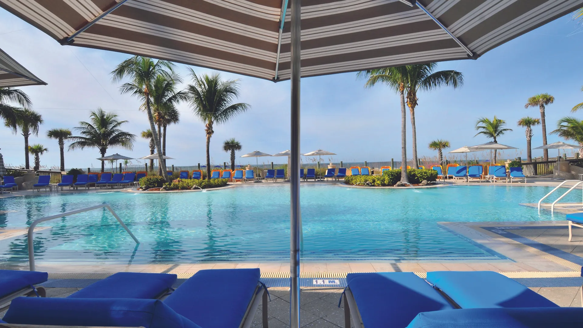 The Ritz-carlton, Hotel Sarasota