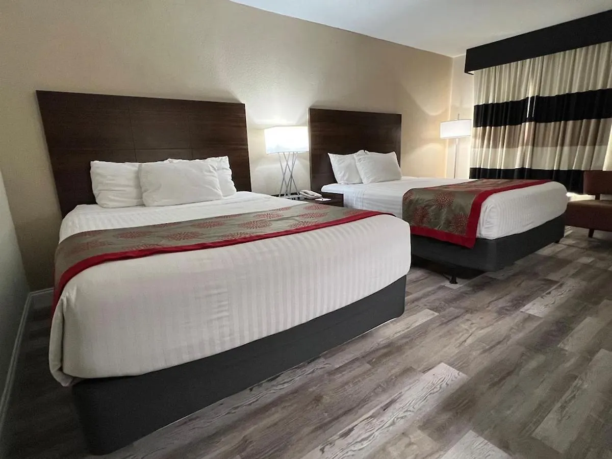 Hotel Marina Vibes -