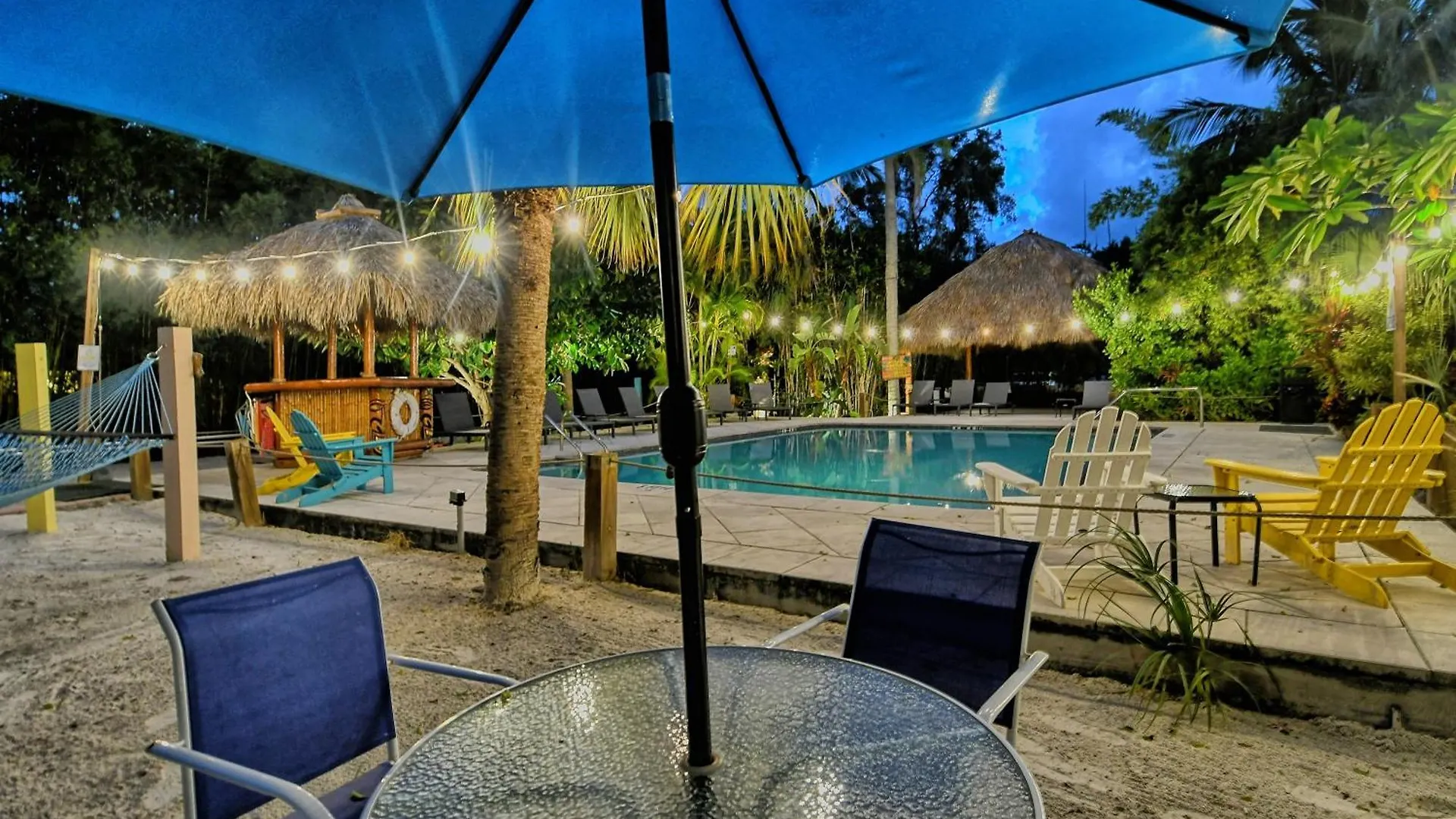 Siesta Key Palms 萨拉索塔