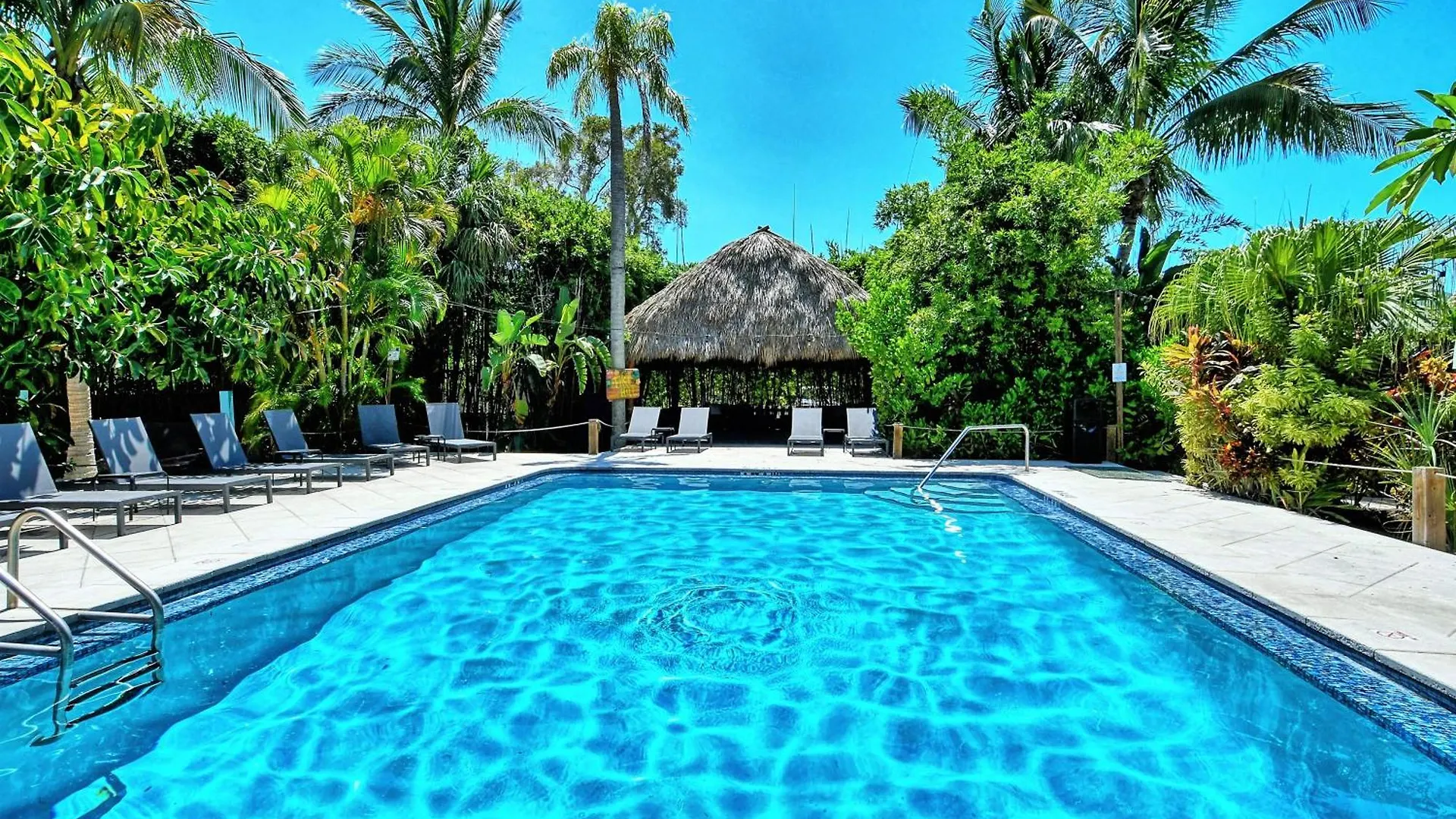 Siesta Key Palms 3*