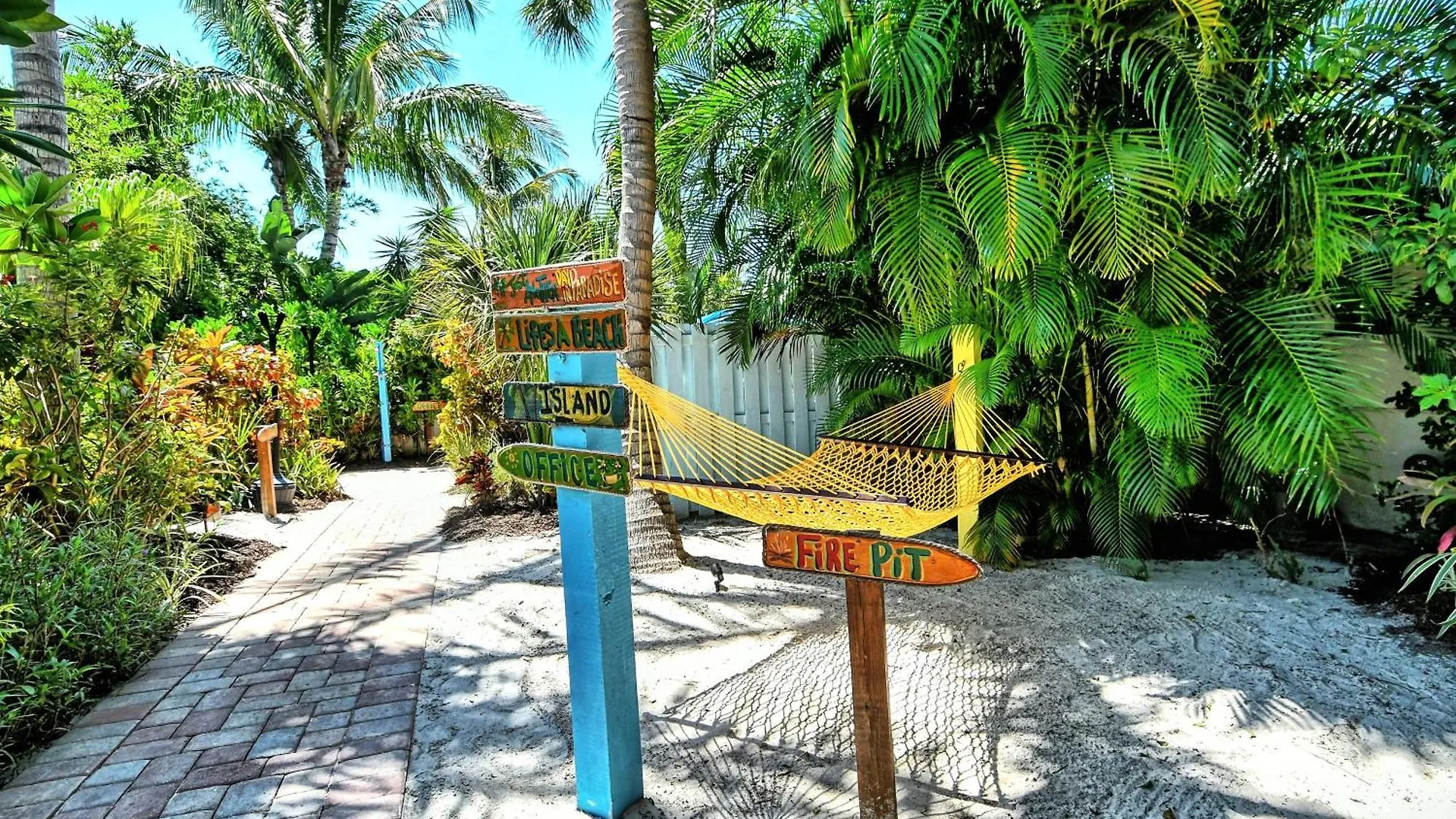 Siesta Key Palms 萨拉索塔