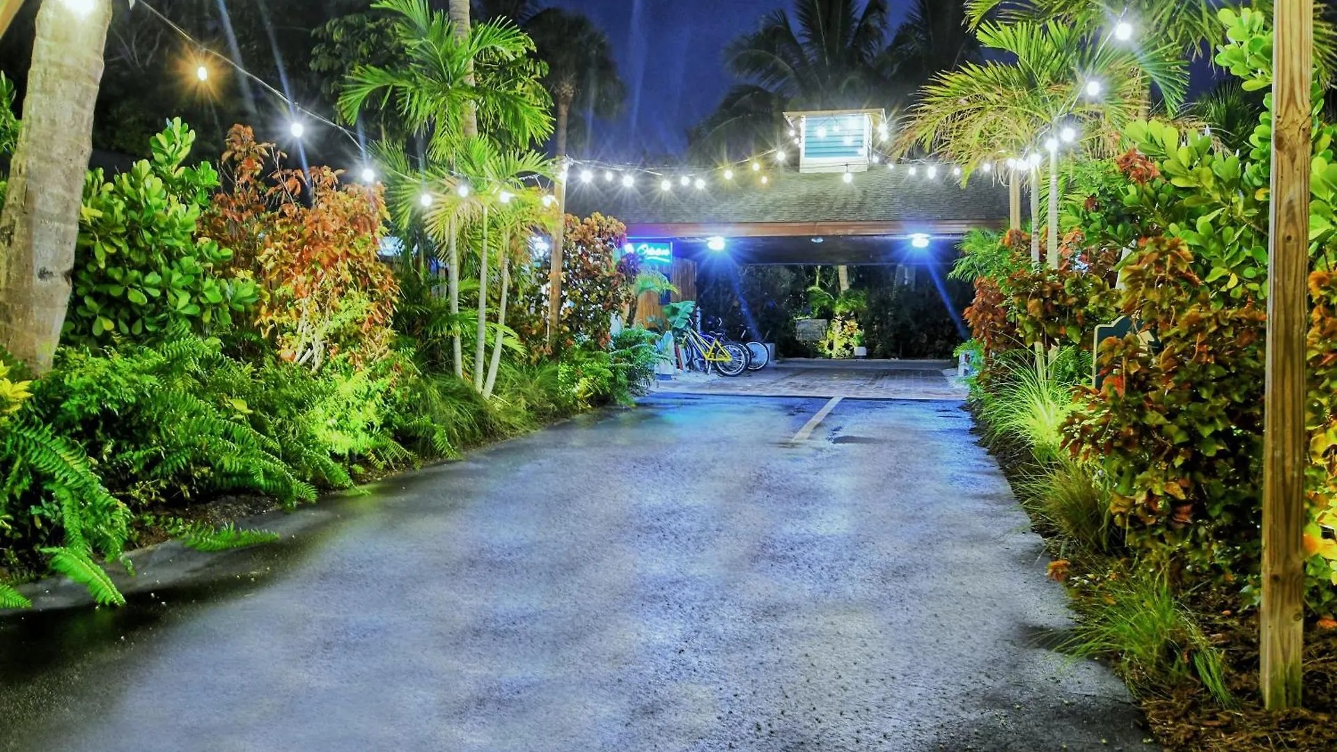 Siesta Key Palms 酒店 萨拉索塔
