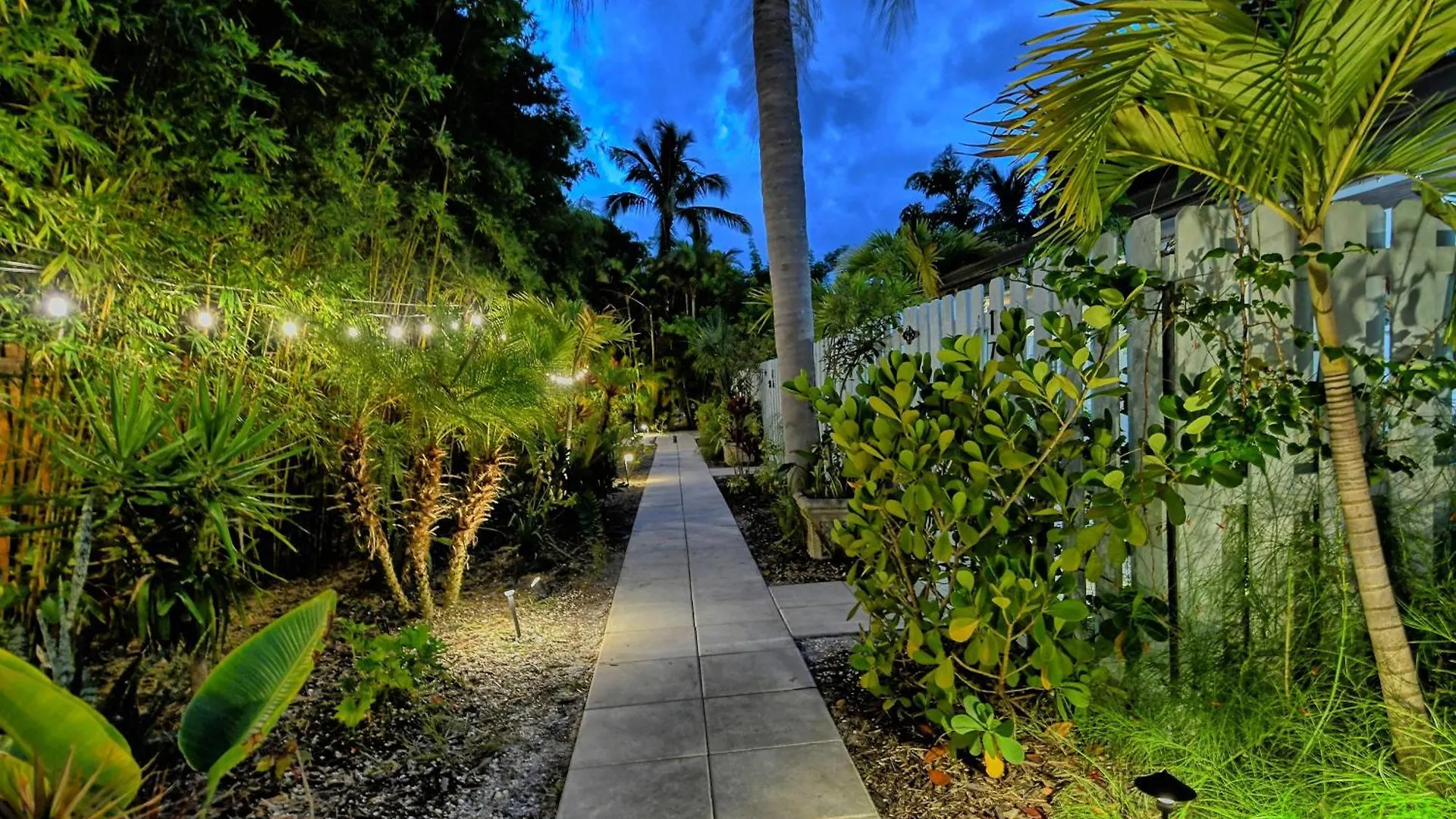 Siesta Key Palms 萨拉索塔