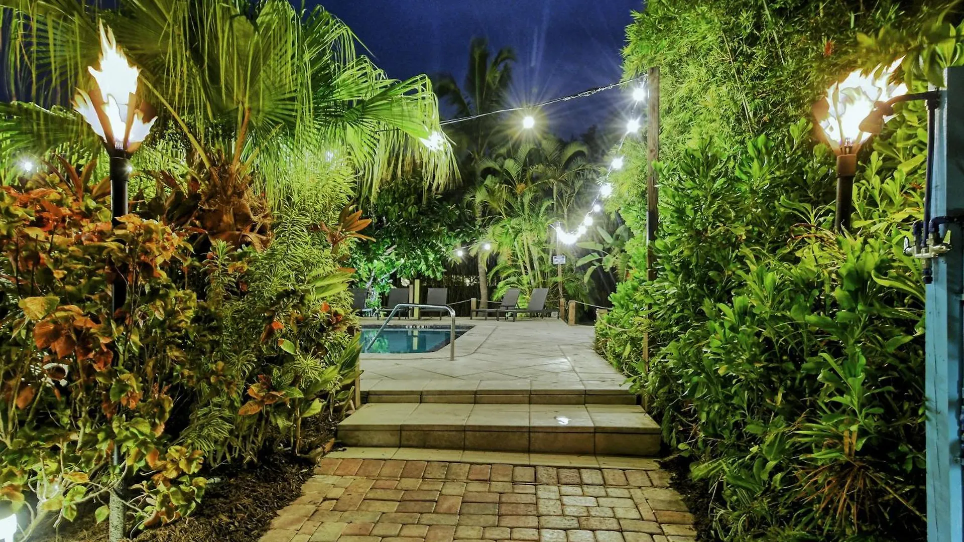 酒店 Siesta Key Palms