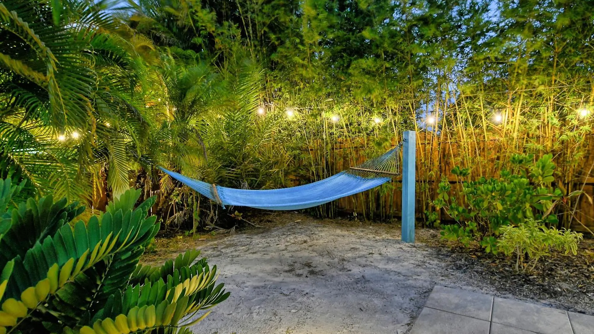 Siesta Key Palms 萨拉索塔