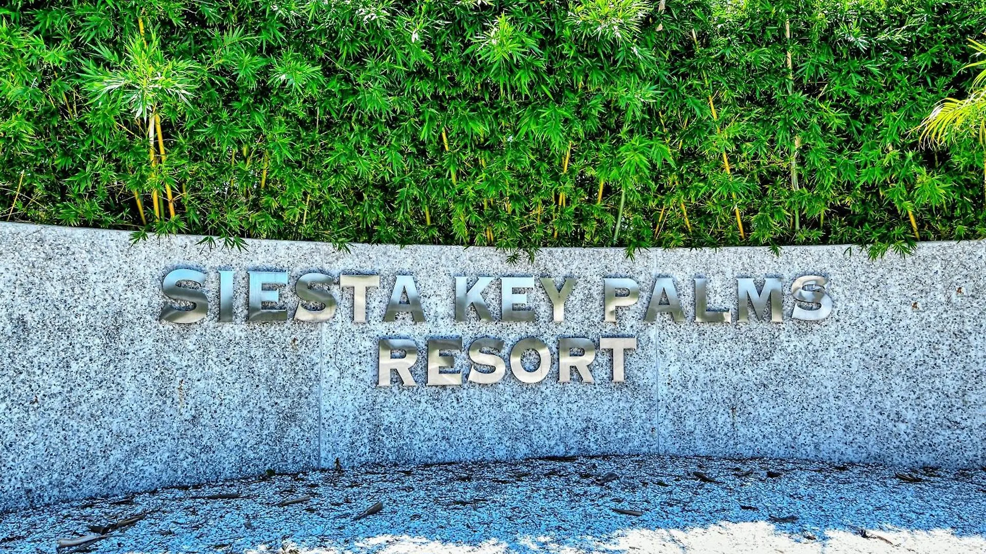 酒店 Siesta Key Palms