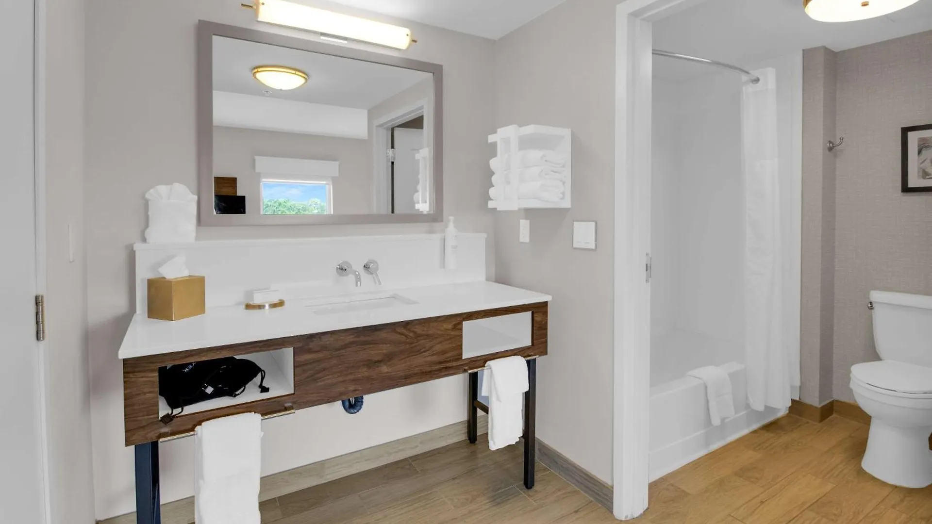 Hampton Inn&suites / Bradenton - Airport Hotel Sarasota