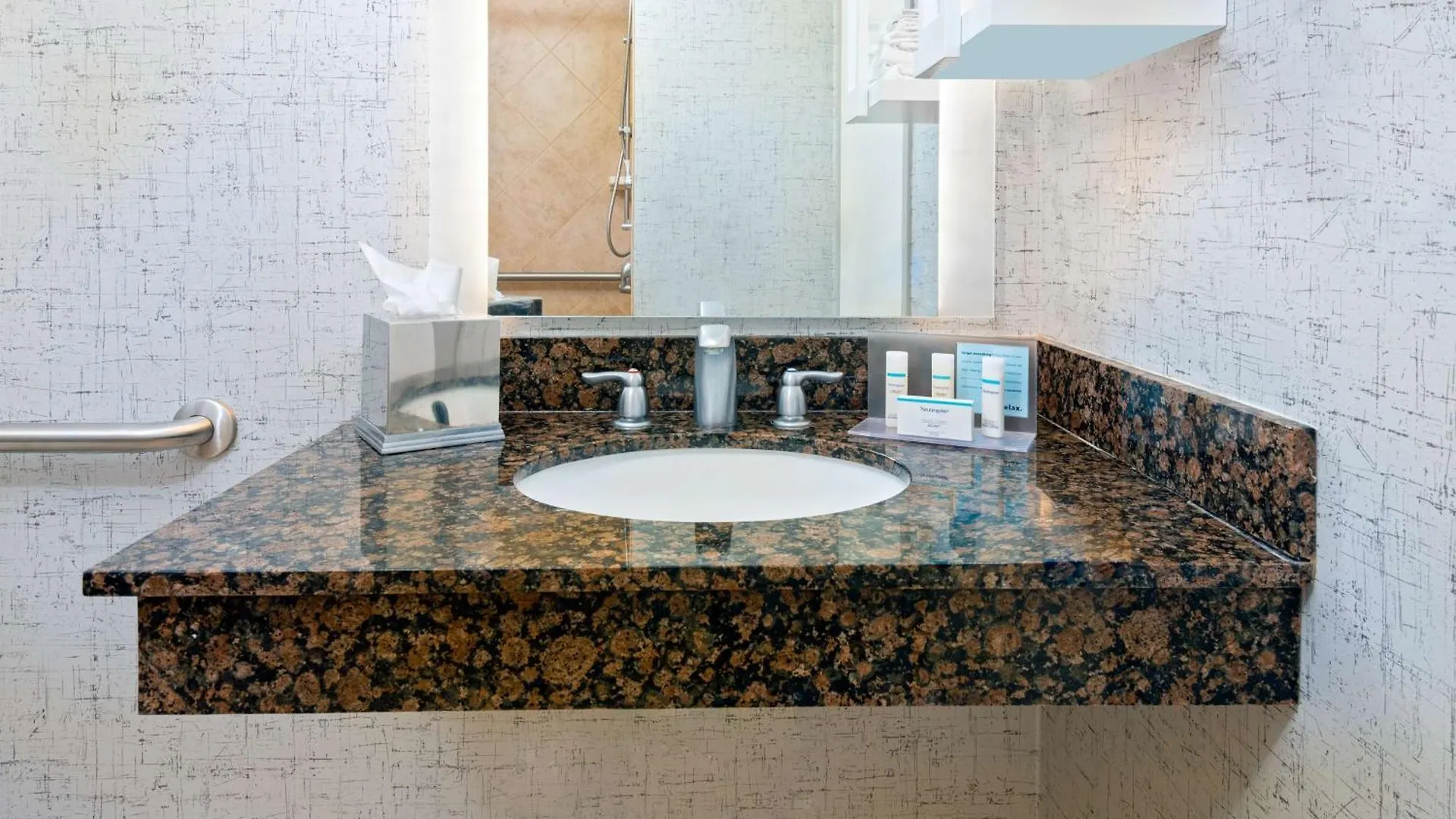 Hampton And Sarasota/lakewood Ranch Hotel