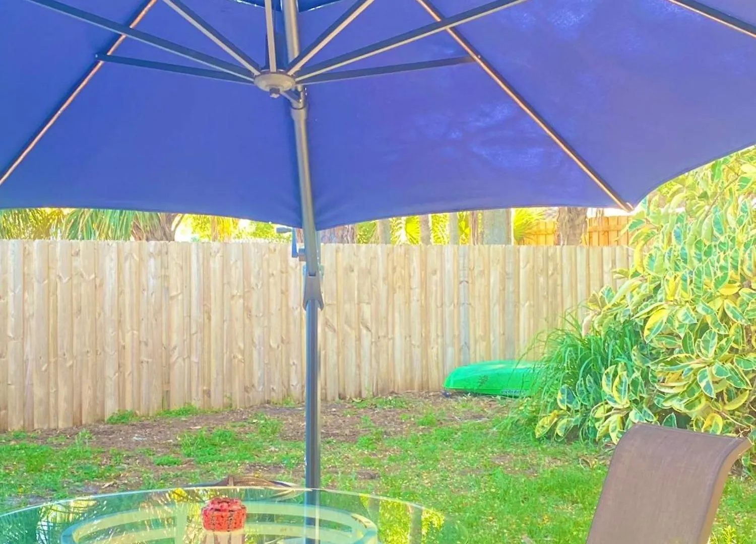 Cozy Only 10 Minutes By Car Of Siesta Key Lejlighed Sarasota