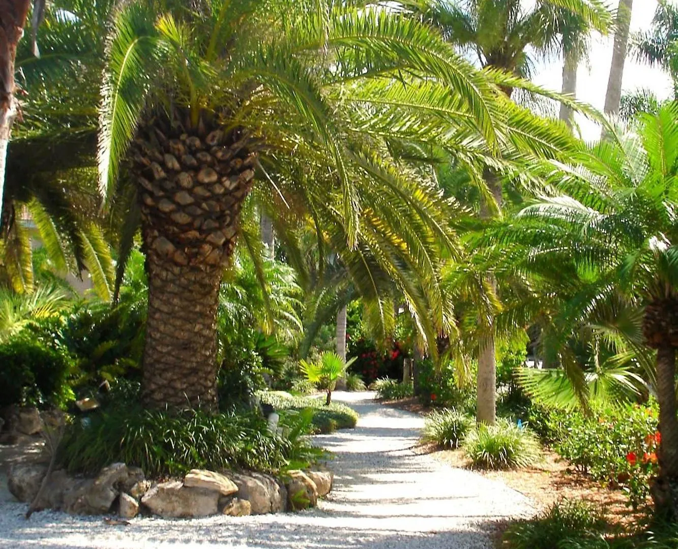 Resort Tropical - Sarasota