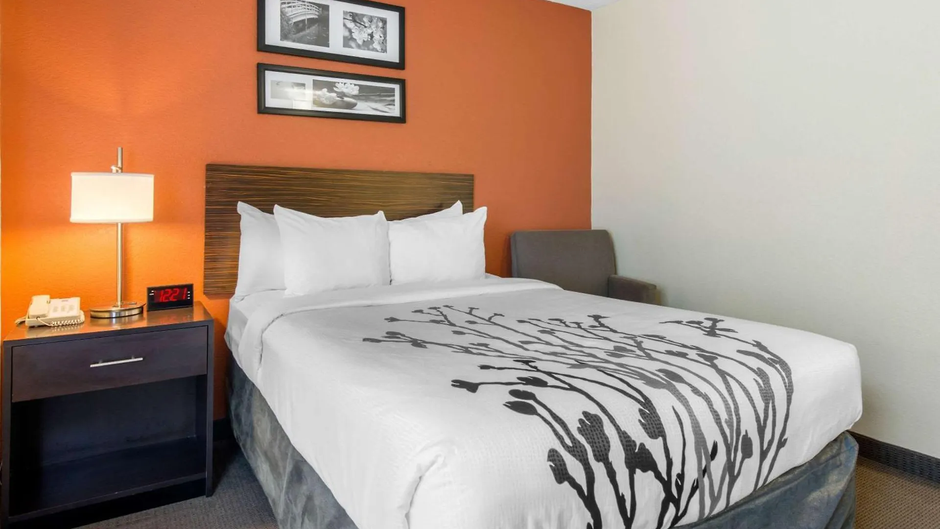 Inn Sleep North 2*