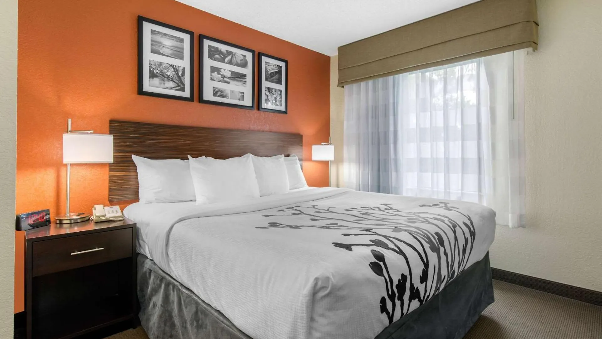 Inn Sleep North 2*
