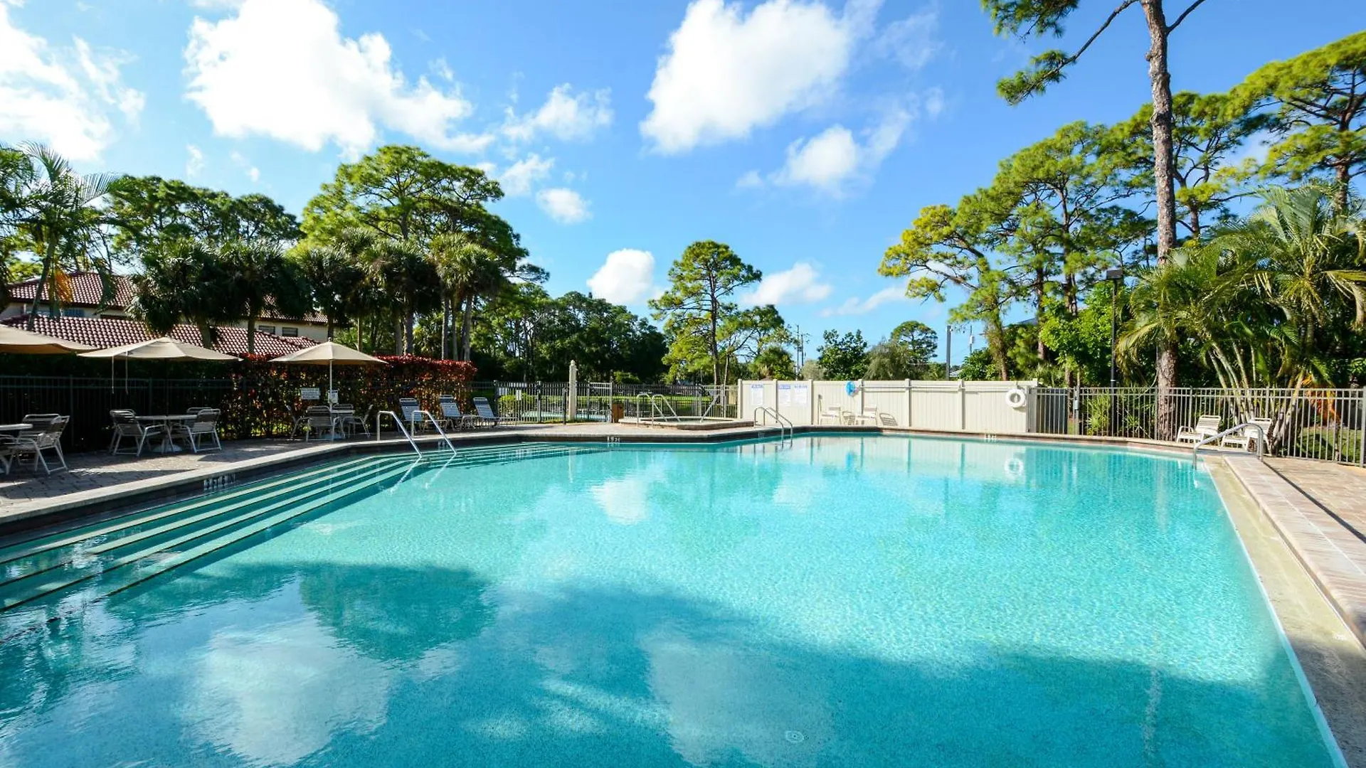 Pine Tree Pool Close To The Beaches Siesta Key * Sarasota