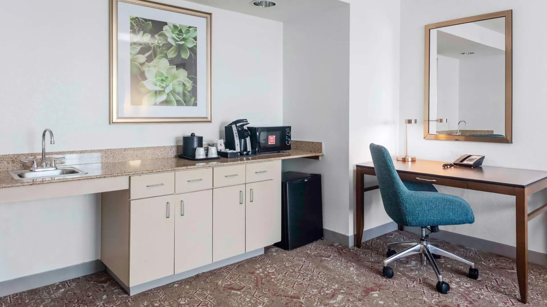 Отель Hilton Garden Sarasota-bradenton Airport Сарасота