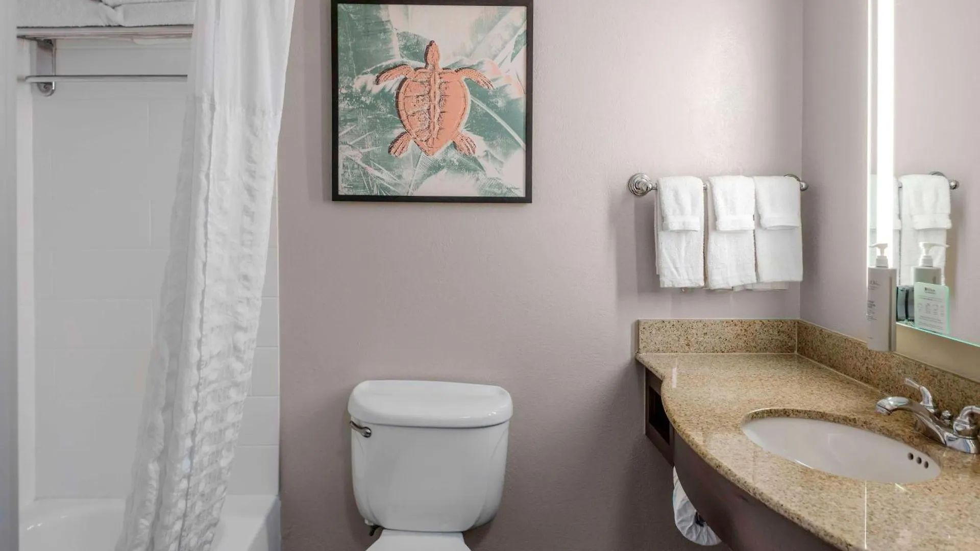 Hilton Garden Sarasota-bradenton Airport 3* Сарасота